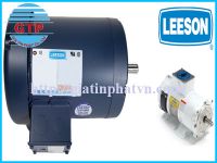 Động cơ điện Leeson - Motor leeson Việt Nam